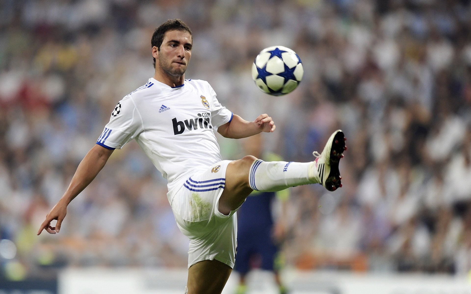 “费尔南多·比亚尔巴的出色表现,激励着阿根廷美洲狮队的未来发展”