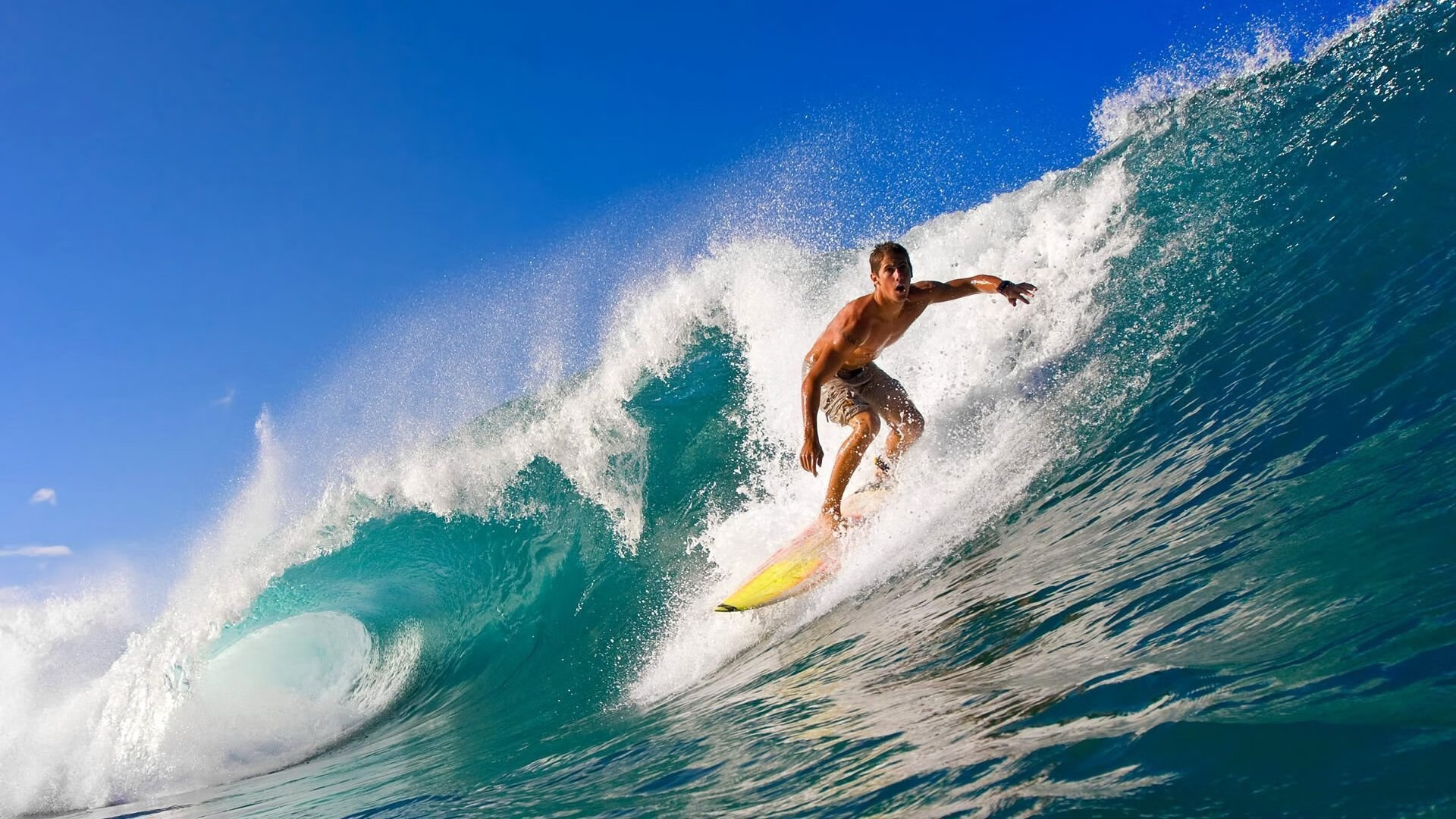 体育场馆维护人员培训提升场地保养水平,体育场馆维修养护内容